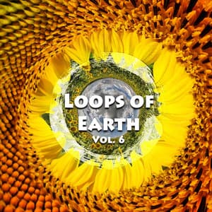 Loops of Earth, Vol. 6 - Zen Loops