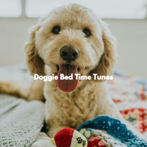 Doggie Bed Time Tunes - Happy Music for Retail Stores