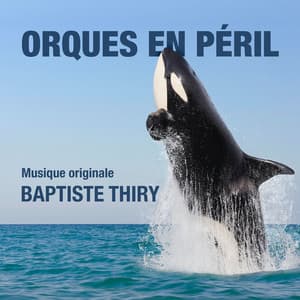 Orques en péril - Baptiste Thiry