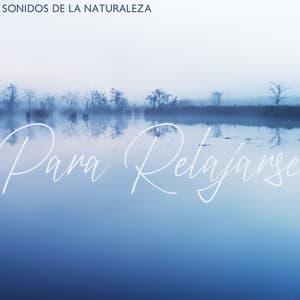 Sonidos de la Naturaleza Para Relajarse: Música Curativa de la Naturaleza, Meditación, Armonía, Flujo de Energía - Meditação Música Ambiente