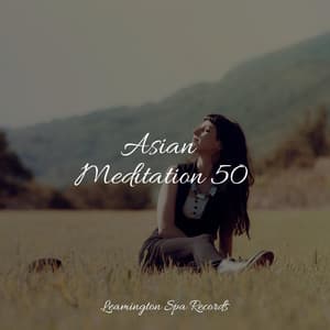 Asian Meditation 50 - Sleep Songs 101