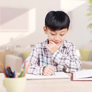 Lofi Study Haven: Ambient Sounds for Dedicated Learning - Chill Hop Lofi Study Beats