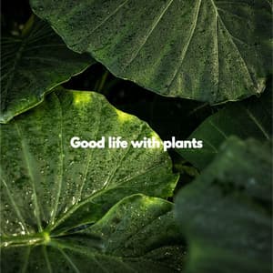 Good life with plants - Soft Romantic Jazz