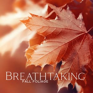 Breathtaking Fall Foliage: Relaxing Jazz for Oncoming Autmun, Positve Mood, Energy for Shorter Days - Relax Time Zone