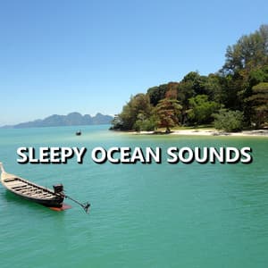 Sleepy Ocean Sounds - Sleepy Sounds