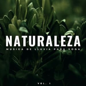 Naturaleza: Música De Lluvia Para Yoga Vol. 1 - Príncipe de la lluvia