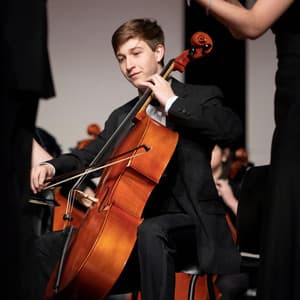 Soft Symphony: Orchestra for Sleep - Charles Anderson