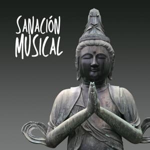 Sanación Musical: Música de Reiki para Equilibrar Chakras y Bienestar Espiritual - Despertar Cómoda