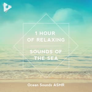 1 Hour of Relaxing Sounds of the Sea - Ocean Sounds ASMR