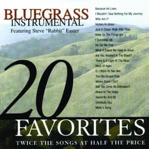 Bluegrass Instrumental: 20 Favorites - Studio Musicians