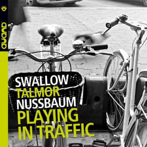 Playing in Traffic - Steve Swallow