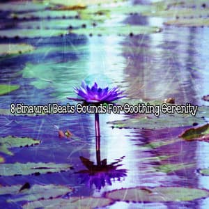 8 Binaural Beats Sounds For Soothing Serenity - Binaural Ambience