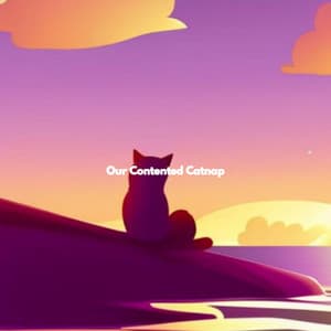 Our Contented Catnap - Boutique Hotel Music