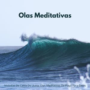 Melodías De Caída De Lluvia: Olas Meditativas De Playa Para Gatos - Lluvia Soundzzz Club