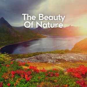 The Beauty of Nature - Nature Label