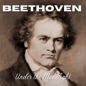 Under the Moonlight - Ludwig van Beethoven