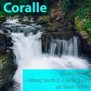 Flowing Dreams - Relaxing Sounds Of A Gentle Stream With Stream - Coralle