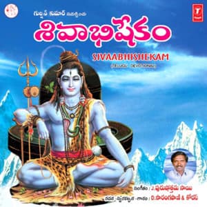 Sivaabhishekam - D.Sarangapani