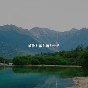 植物を落ち着かせる - Retail Music