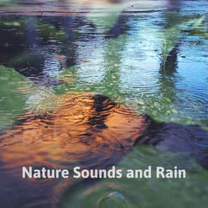 Nature Sounds and Rain – Relaxing Sounds of Water, Rain, Birds Singing for Massage, Yoga Classes, Spas & Wellness, Deep Sleep - Natural Sounds Music Academy