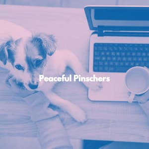 Peaceful Pinschers - Música de Oficina