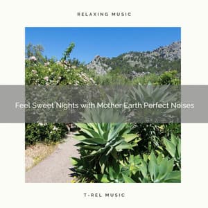 Feel Sweet Nights with Mother Earth Perfect Noises - Nature Bird Sounds
