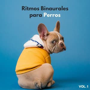 Ritmos Binaurales Para Perros Vol. 1 - Descansar Musica