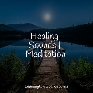 Healing Sounds | Meditation - Deep Sleep Brown Noise