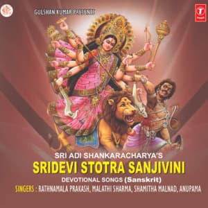 Sridevi Stotra Sanjivini - Ratnamala Prakash