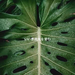 いい雰囲気を育む - Miami Hotel Jazz