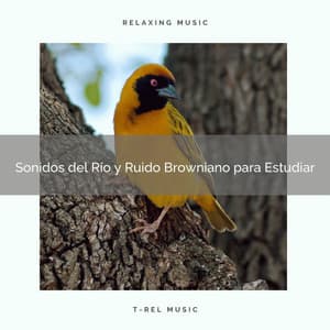 Sonidos del Río y Ruido Browniano para Estudiar - Ruido Blanco Para Estudiar