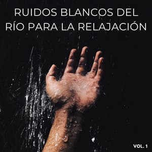 Ruidos Blancos Del Río Para La Relajación Vol. 1 - Laboratorio de la Naturaleza
