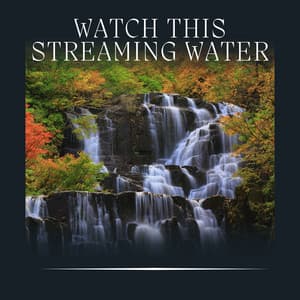 Watch This Streaming Water - Water Sound Natural White Noise