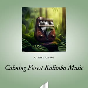 Calming Forest Kalimba Music - Kalimba Melody