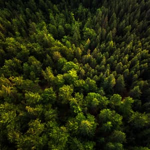 My Home - Uyku Müzik