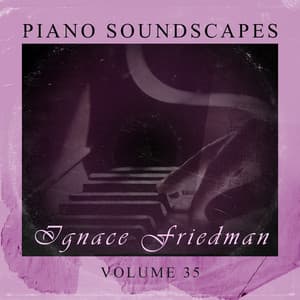 Piano Soundscapes, Vol. 35 - Ignaz Friedman