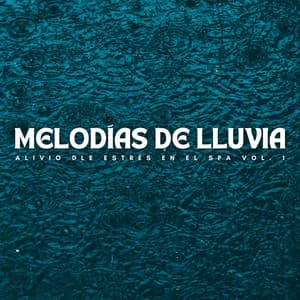 Melodías De Lluvia: Alivio Dle Estrés En El Spa Vol. 1 - Lluvia de Berlín