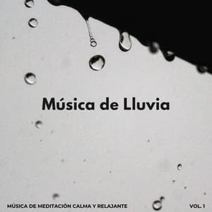 Música De Lluvia: Música De Meditación Calma Y Relajante Vol. 1 - Relajación Lluvia Meditación