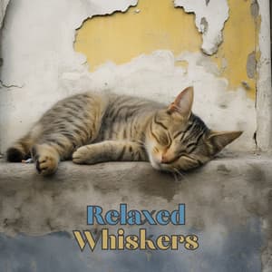 Relaxed Whiskers - Calm Cat Music