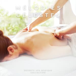 Mélodies Célestes: Musique Instrumentale De Spa - Detente Spa Musique Collection