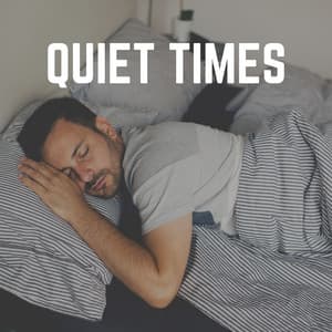 Quiet Times - Deep Sleep Music Maestro