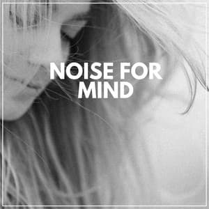 Noise for Mind - Sleep Easy Solutions