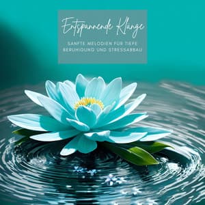 Entspannende Klänge: Sanfte Melodien für tiefe Beruhigung und Stressabbau - Entspannungsmusik Wellness Club