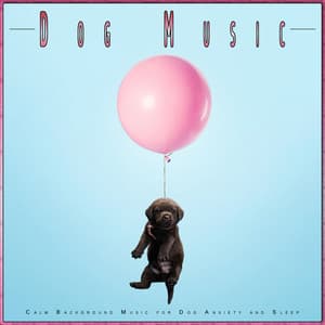 Dog Music: Calm Background Music for Dog Anxiety and Sleep - Dog Music