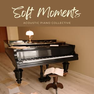 Soft Moments: Acoustic Piano Music - Acoustic Piano Collective