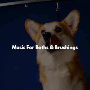 Music For Baths & Brushings - Fine Dining Playlist