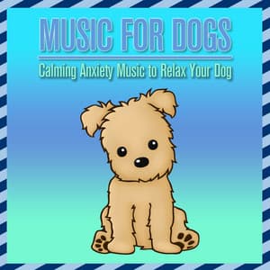Music for Dogs: Calming Anxiety Music to Relax Your Dog - Dog Music