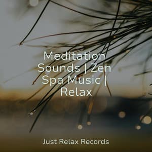 Meditation Sounds | Zen Spa Music | Relax - Lucid Dreaming World-Collective Unconscious Mind