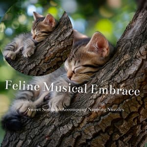 Feline Musical Embrace: Wrapping Kitties in a Cocoon of Calm - Cat & Calm