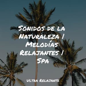 Sonidos de la Naturaleza | Melodías Relajantes | Spa - Masajes Spas